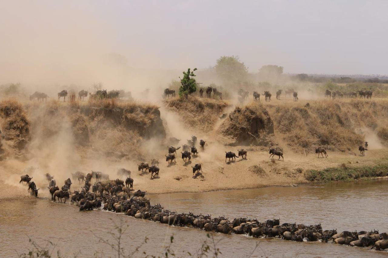 Gnu Mara River Camp セレンゲティ エクステリア 写真