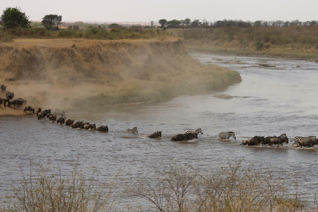 Gnu Mara River Camp セレンゲティ エクステリア 写真